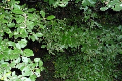 P1010963
